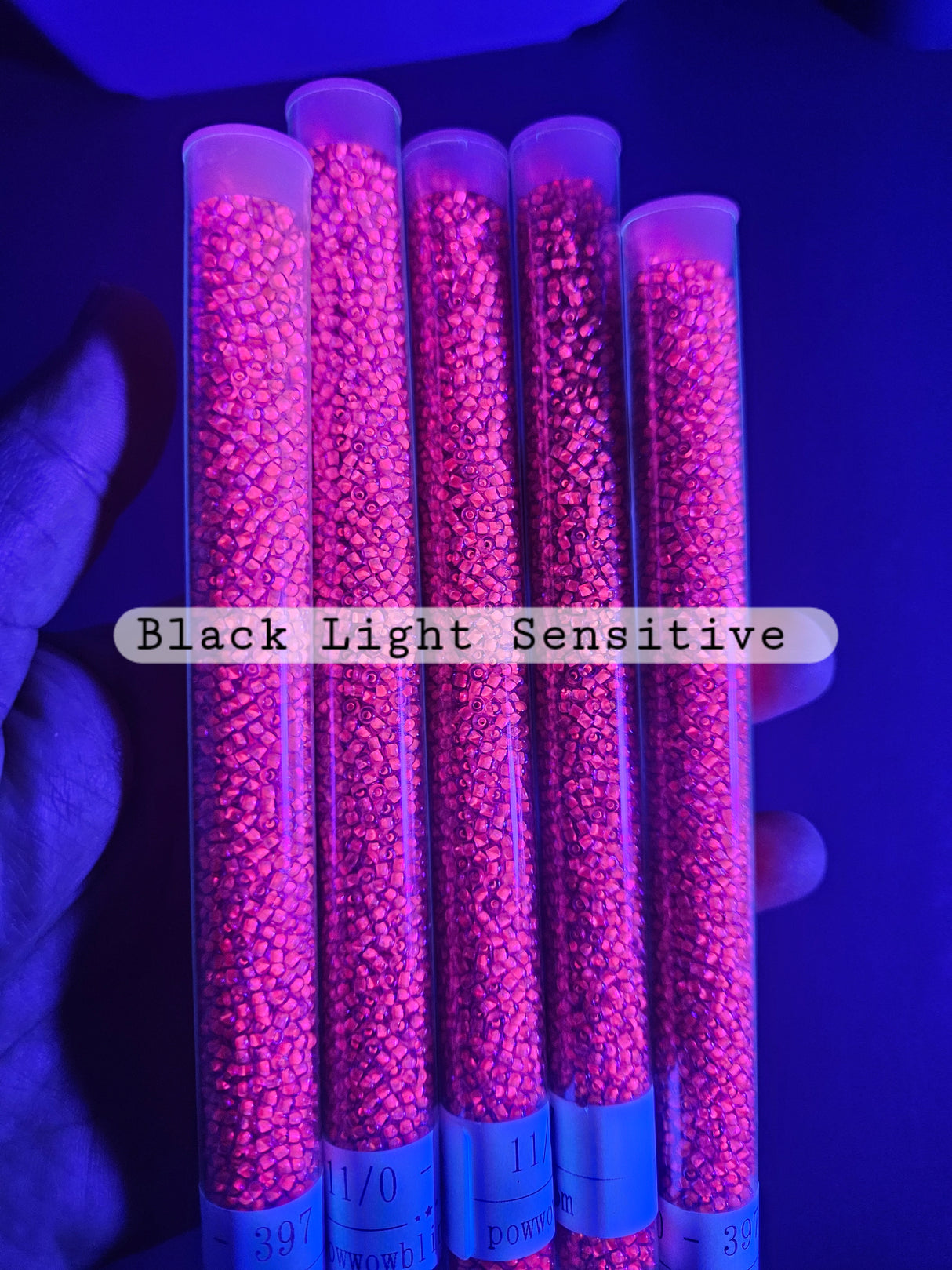 Raspberry Lined Blue ~ 11/0 JSB 397
