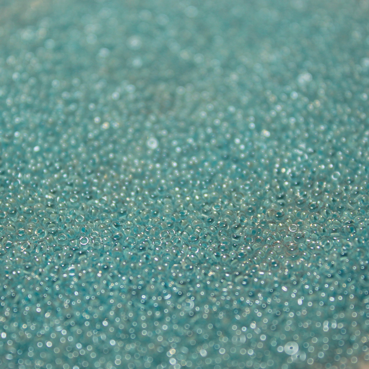 Transparent Crystal Color Lined Sky Blue ~ 15/0 JSB 220