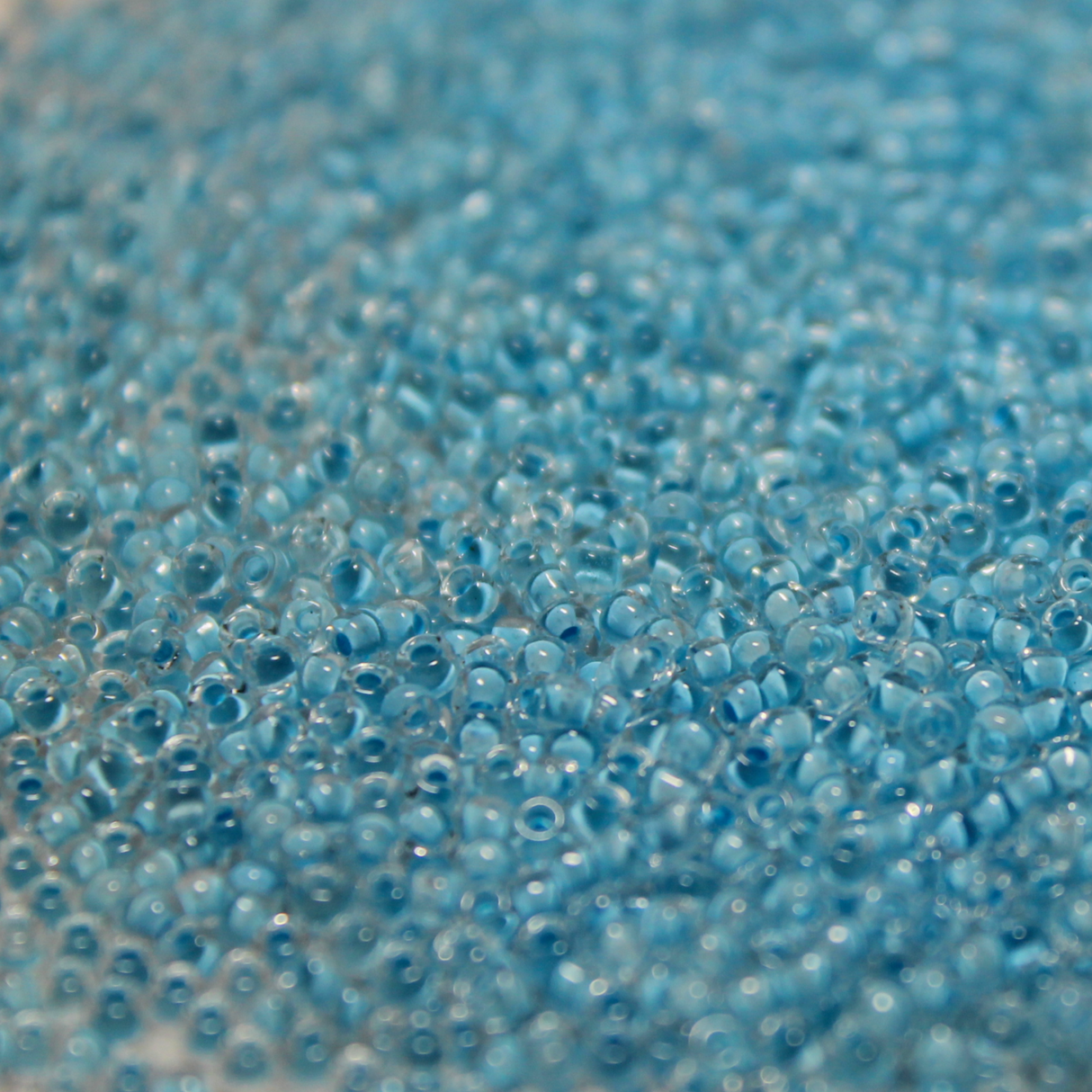 Transparent Crystal Color Lined Blue ~ 11/0 JSB 221