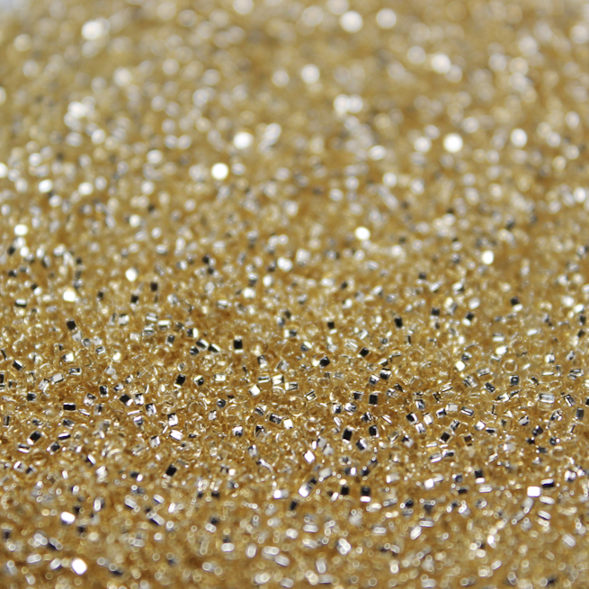 Silver Lined Champagne ~ 11/0 JSB 2 Japanese Seed Beads