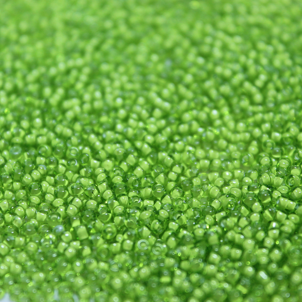 White Lined Light Olivine ~ 11/0 JSB 327Q