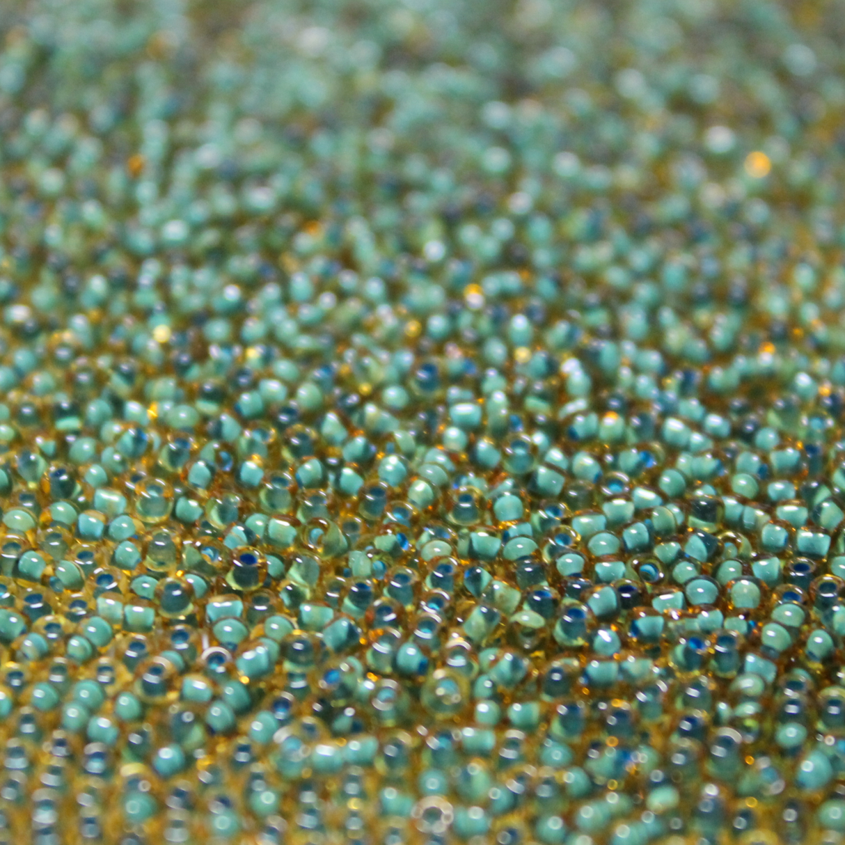 Amber Blue Lined ~ 11/0 JSB 399F