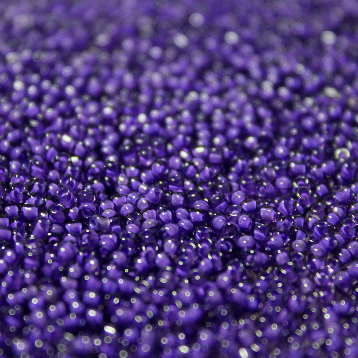 Transparent Color Lined Elderberry ~ 8/0 JSB 399J