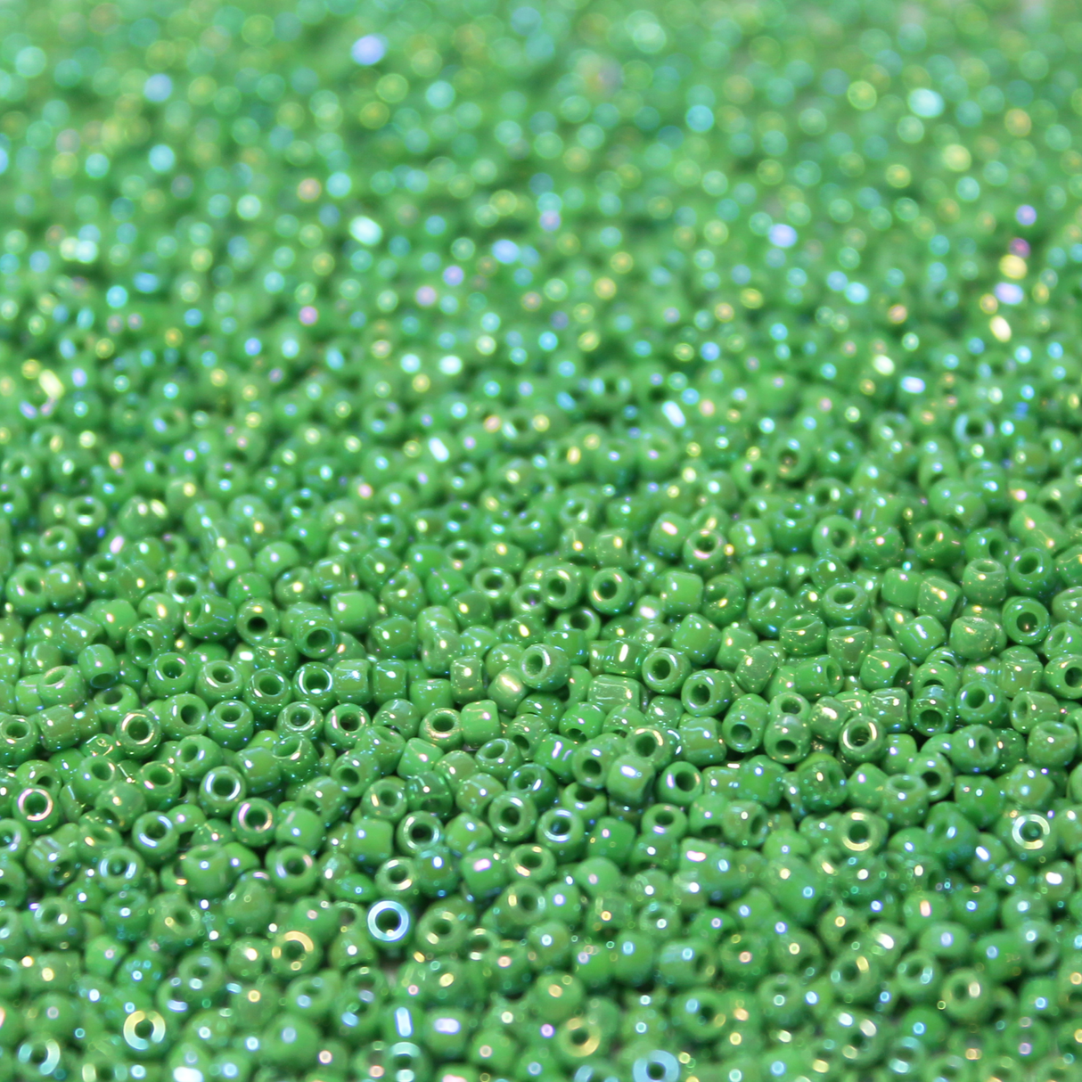 Opaque Chlorella Green AB ~ 11/0 JSB 431R Japanese Seed Beads