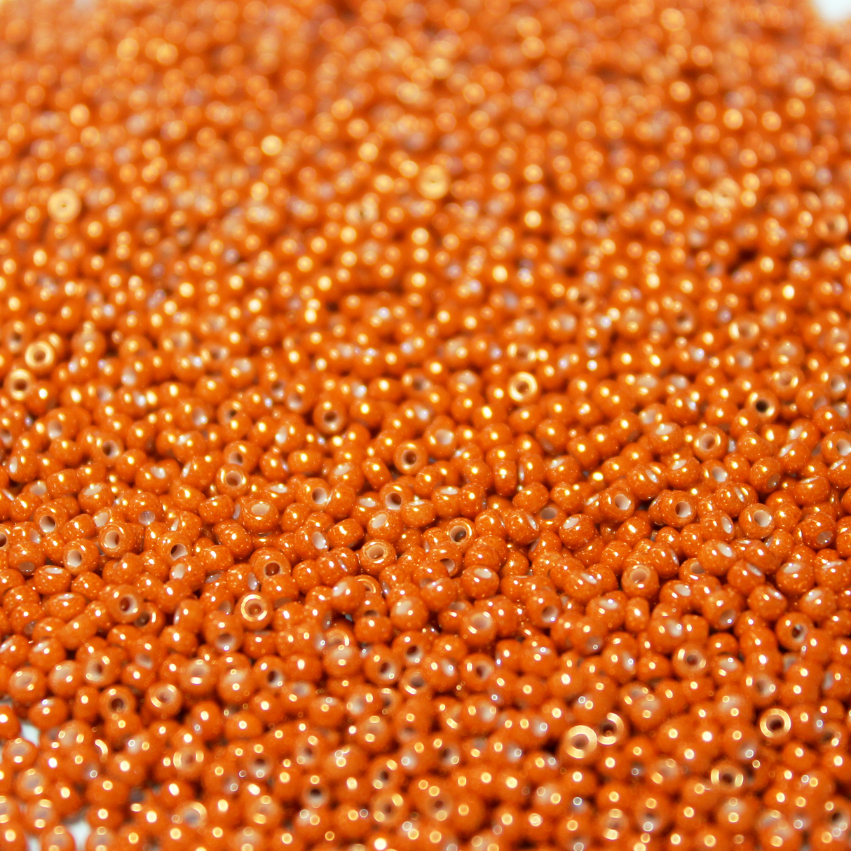 Opaque Dyed Burnt Orange Luster ~ 11/0 JSB 445A Japanese Seed Beads