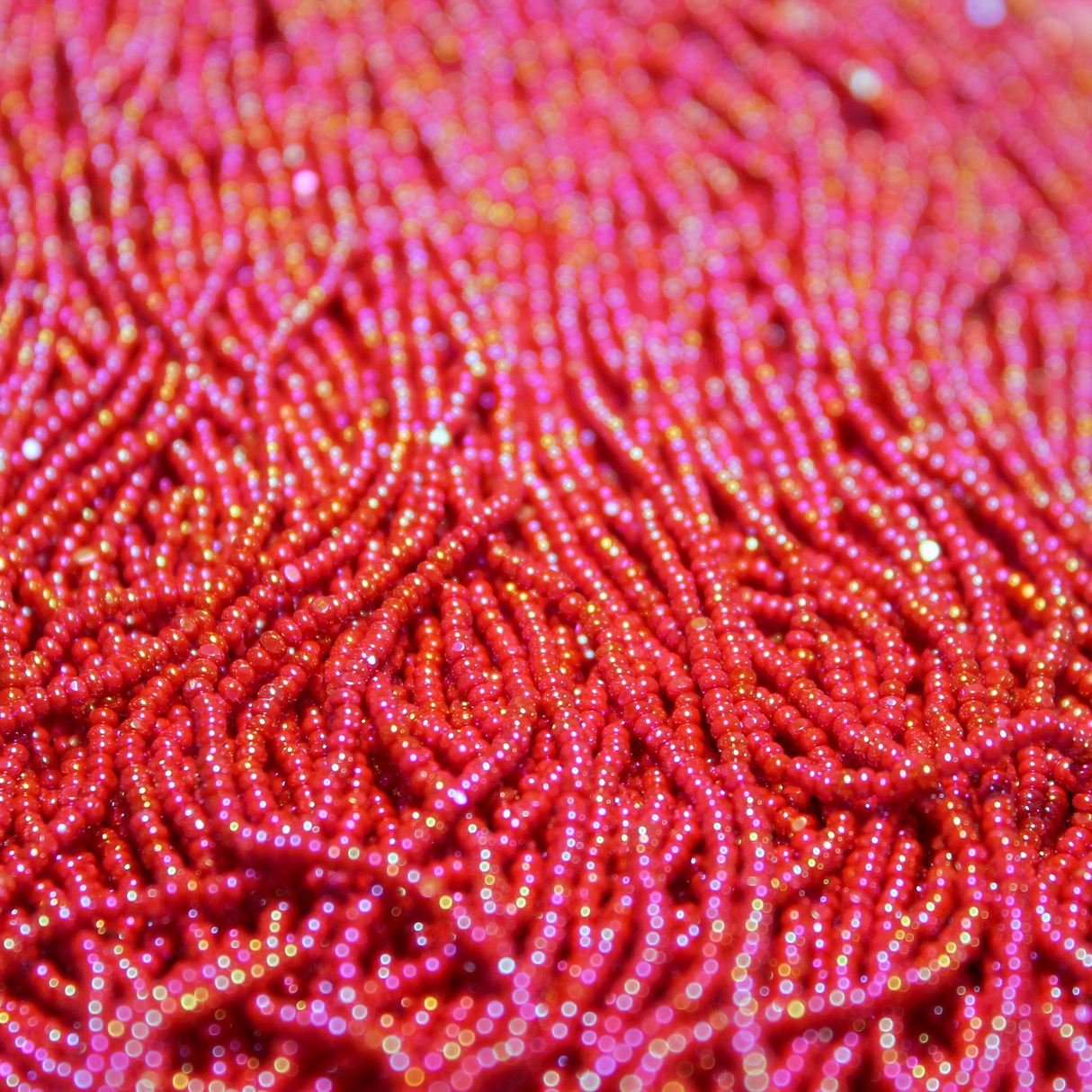 13/0 Charlotte Opaque Red Iris - C1340