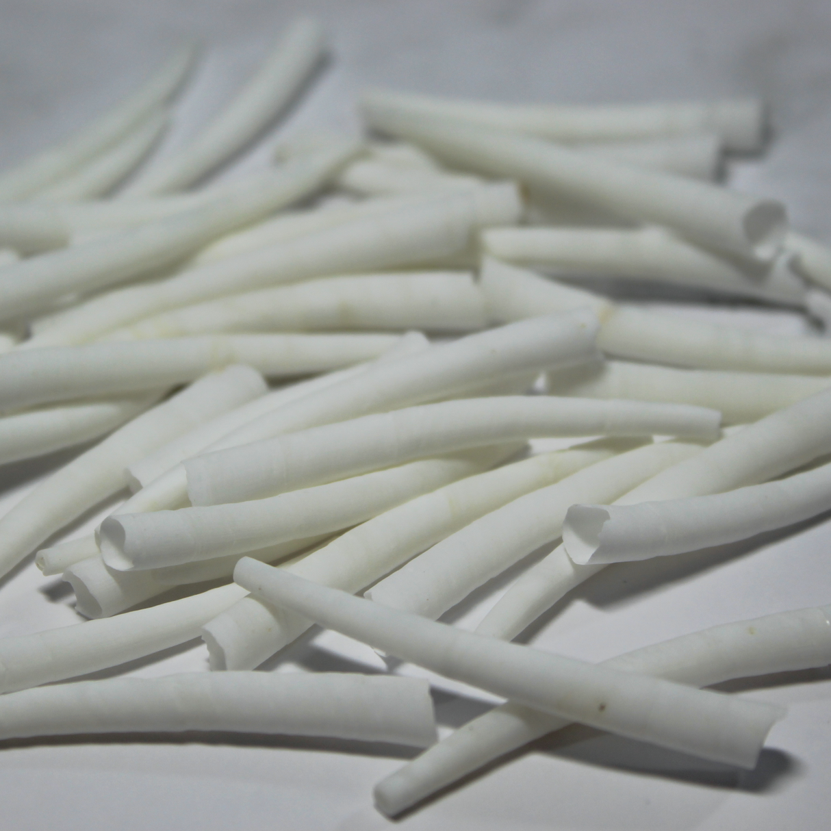 1.5-2" Smooth White Dentalium Shells, 1 oz. - Dent2