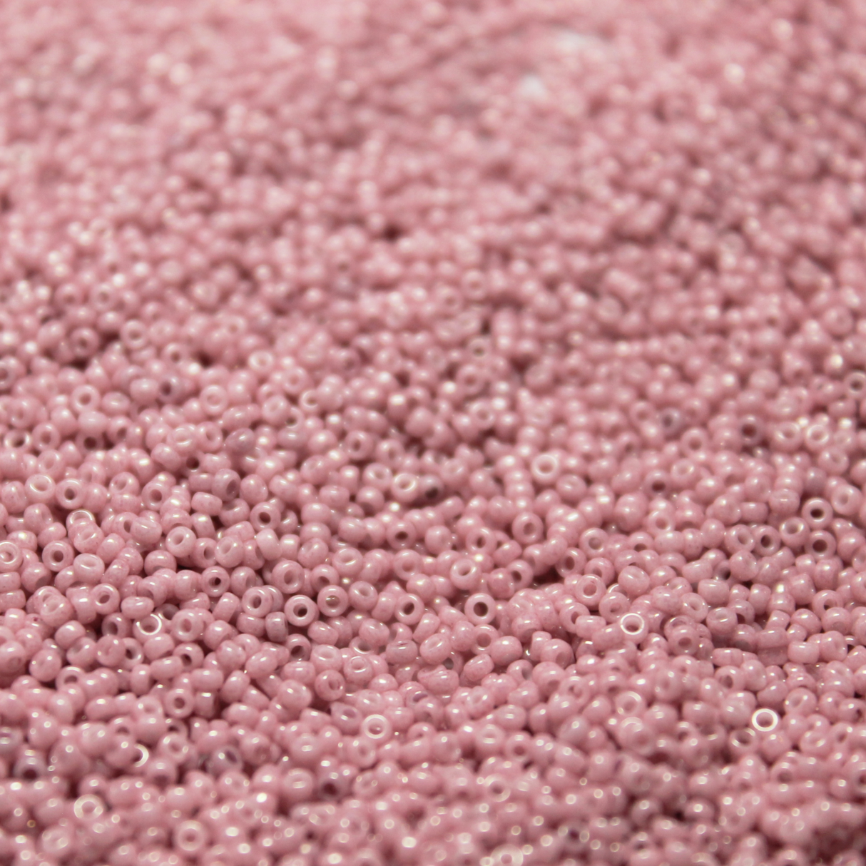 Opaque Dyed Cheyenne Pink ~ 15/0 JSB 429D Japanese Seed Beads