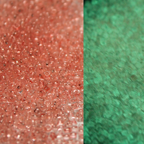 Glow In the Dark - Peach/Yellow Green ~ 11 JSB 2720