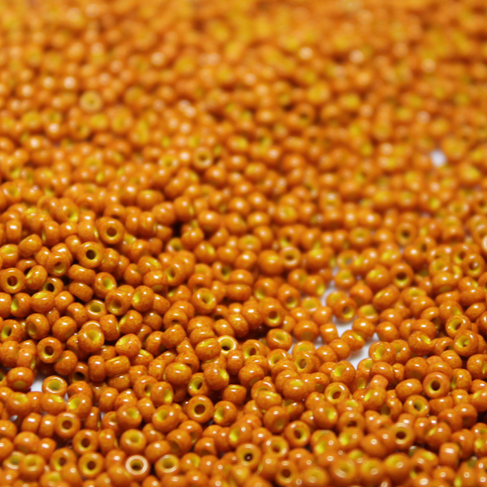 Opaque Dyed Pumpkin ~ 11/0 JSB 405C Japanese seed beads