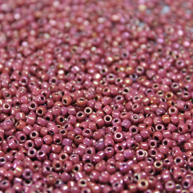 Luster Crimson Gold ~ 11/0 JSB 881