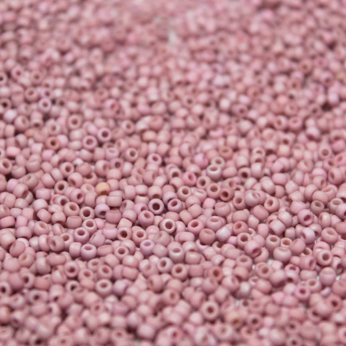 Matte Dogwood Bloom ~ 11/0 JSB F882