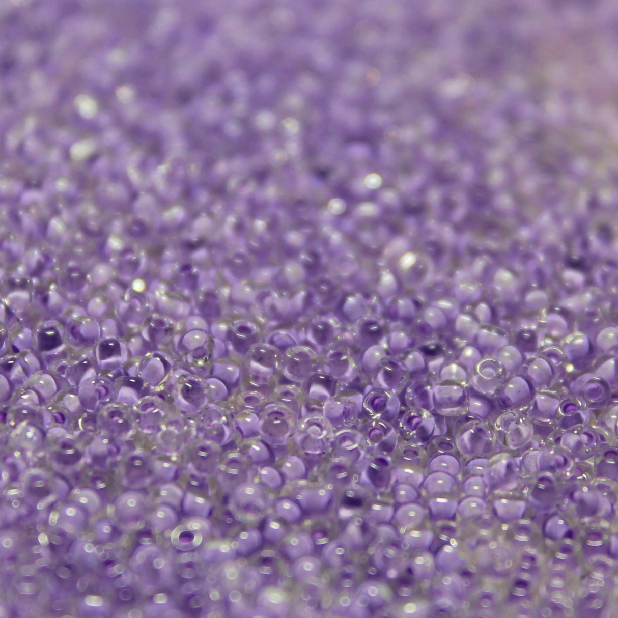 Color Lined Light Purple ~ 11/0 JSB 222