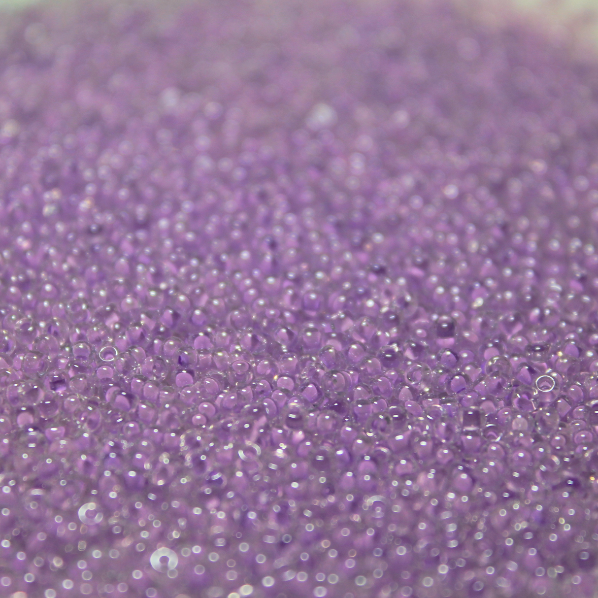Crystal Color Lined Lavender ~ 11/0 JSB 222F