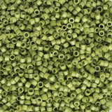 Olive - Linea 31