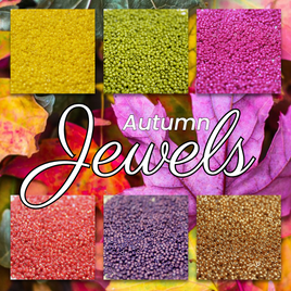 6 tube Autumn Jewels  -  15/0 Set E